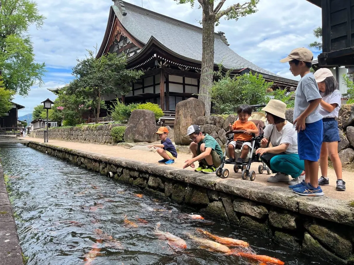 飛騨市の人気スポット「瀬戸川と白壁土蔵街」で鯉に餌をあげる観光客