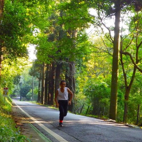 緑は人を幸せにする。前に進もうという気にさせる。花の美しさに加え、根も葉も強ければ申し分ない。