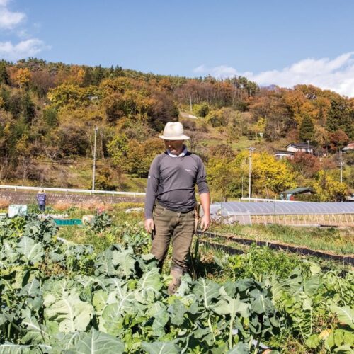 小さな畑で多品種、多収量！自然菜園でプチ自給 【第7回】