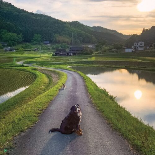 山々に囲まれた土地に田園風景が広がる美しい質美地域。これだけ自然豊かなのに、京都も大阪も車で1時間圏内とアクセス良好（京都府京丹波町）