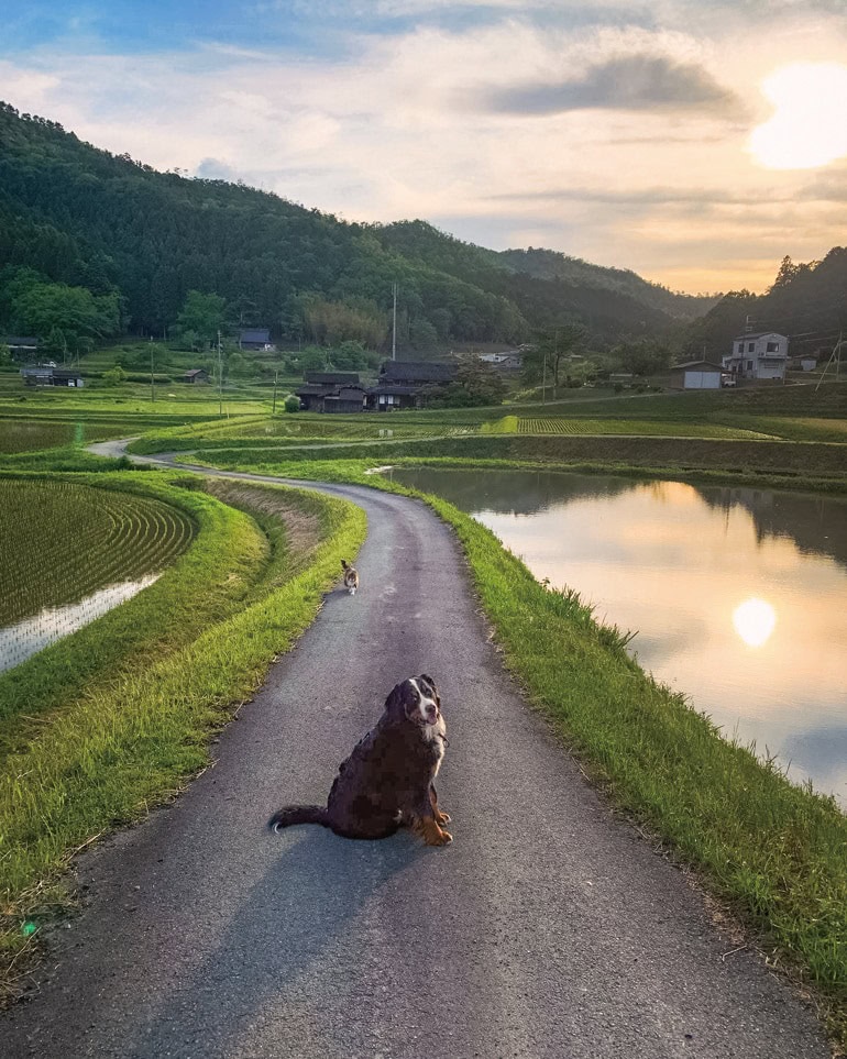 山々に囲まれた土地に田園風景が広がる美しい質美地域。これだけ自然豊かなのに、京都も大阪も車で1時間圏内とアクセス良好（京都府京丹波町）