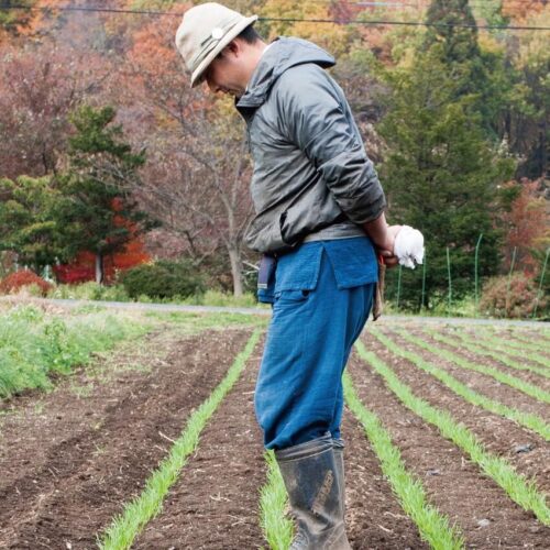 小さな畑で多品種、多収量！自然菜園でプチ自給 【第8回】