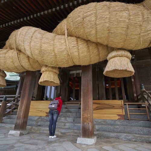 福間駅周辺の観光スポット｜宮地嶽神社