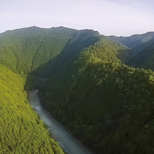 和歌山県田辺市龍神村の「とりとんファーム」周辺の山々