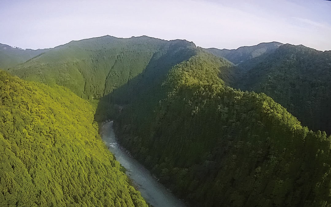 和歌山県田辺市龍神村の「とりとんファーム」周辺の山々