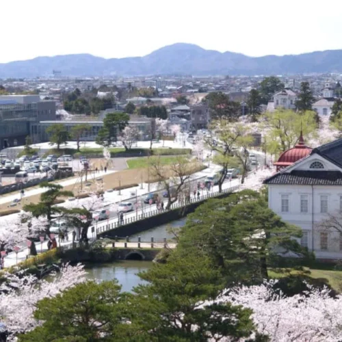 山形県鶴岡市の鶴岡公園