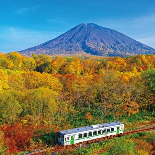 【絶景！】北海道倶知安町（くっちゃんちょう）、羊蹄山を背に紅葉のなかを駆ける列車【ほっとphoto便り】