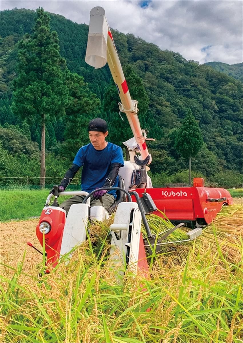 兵庫県の香美町地域づくり事業協同組合。コンバインで稲刈りなど5事業者のところで働く