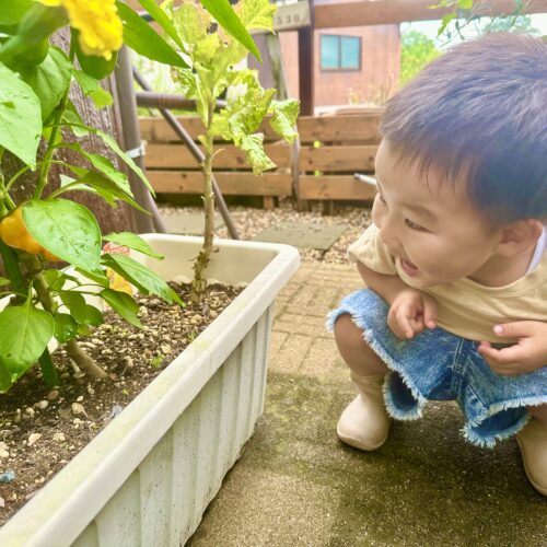 「子どもと一緒にプランターで季節の野菜を育てています。今年の夏は大豊作で、息子も水やりや収穫を楽しみにしていました」