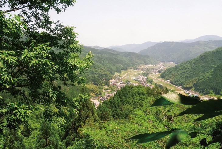 兵庫県香美町は、北は日本海に面し、山間部では棚田などの里山風景が広がる