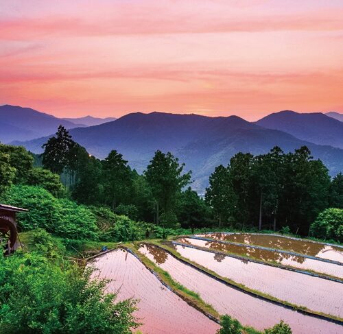 和歌山県田辺市の中辺路地区にある「高原の棚田」