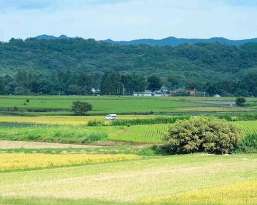 栃木県益子町