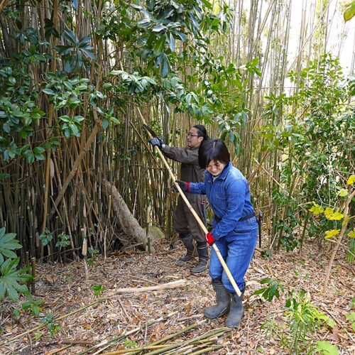 竹炭ワークショップや友人たちの協力でだいぶ減った敷地内の竹だが、まだまだ気は抜けない。春に向けて畑との境界を夫婦2人で開墾している／千葉県館山市