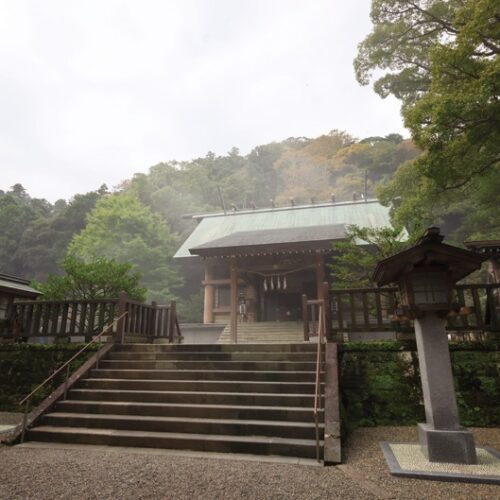 安房神社が家のすぐ近く。「小さな山があって麓には海が広がっている。自然の循環が感じられる土 地です」（真希さん）／千葉県館山市