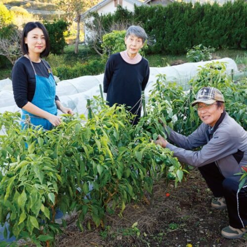 先祖から伝わる畑で父の操さんと母のとみ代さんと。「両親にはカフェで出す野菜の栽培を助けてもらうだけでなく、収穫体験会では講師もやってもらっています」。