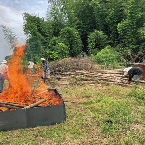 竹林で活動する「ヒジノワタケ部」。竹伐り、竹炭づくり、タケノコ掘り、竹細工など内容は多彩（栃木県益子町）