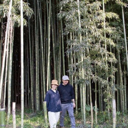 真ん中に道をつくって、歩きやすい竹林に整備した（栃木県益子町）