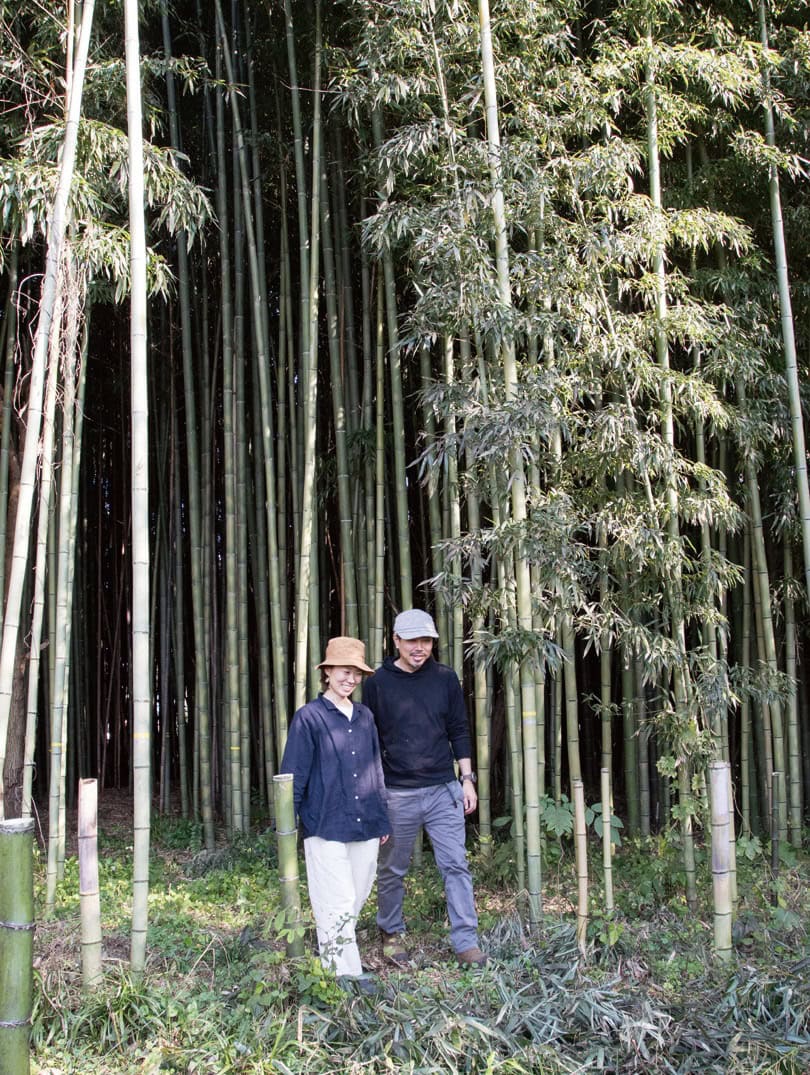 真ん中に道をつくって、歩きやすい竹林に整備した（栃木県益子町）