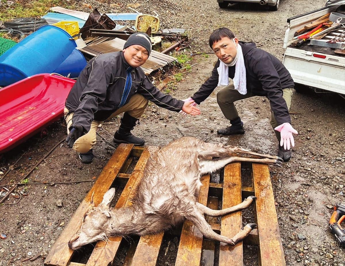 「小田原くくり罠塾」で捕獲したシカ。山の生態系を守るため