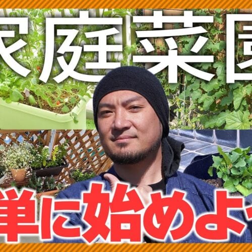 必要なアイテムは７つだけ！ベランダで気軽に本格的な家庭菜園をスタートしよう