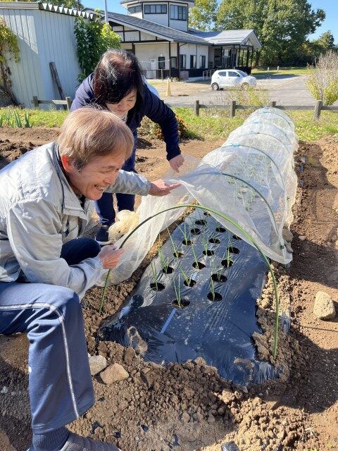 長野県立科町クラインガルテンの畑