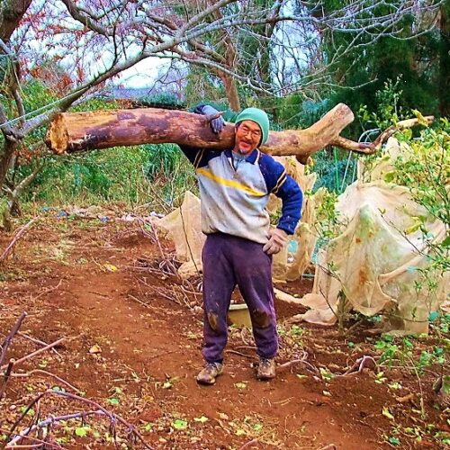 『田舎暮らしに殺されない法』フィジカルはメンタルを後押しする。／自給自足を夢見て脱サラ農家37年（64）【千葉県八街市】