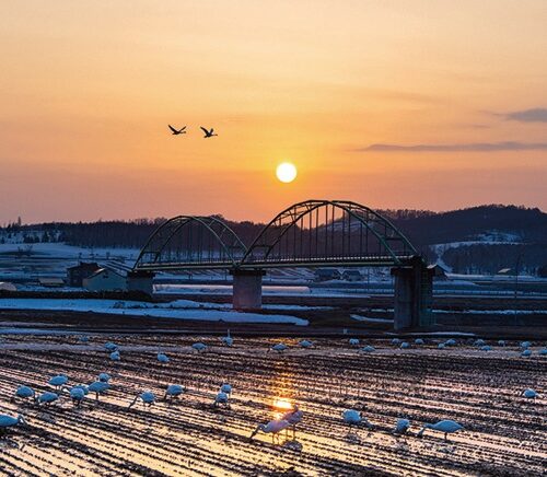 北海道沼田町が札幌駅前通地下広場 「チ・カ・ホ」で移住相談会を開催【北海道沼田町】