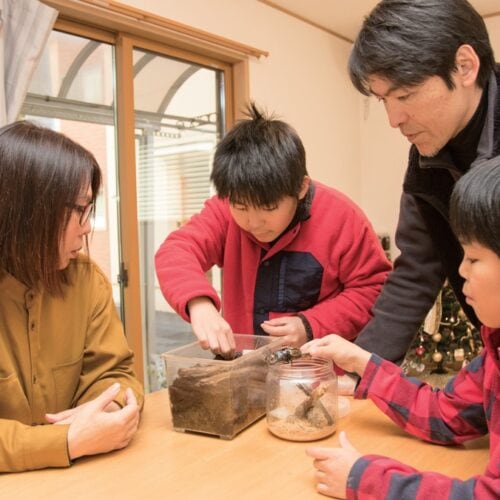 クワガタ観察で盛り上がる家族4人／長野県茅野市