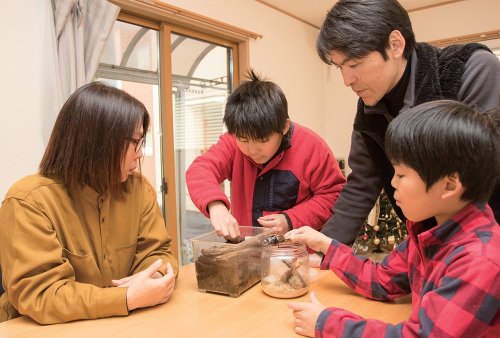 クワガタ観察で盛り上がる家族4人／長野県茅野市