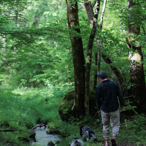 「これまでの数十年で、愛犬と一緒に全国各地を訪れて、犬連れキャンプやアウトドアを楽しんできたのですが、中でも八ヶ岳エリアにはよく足を運んでいたんです。二拠点が前提だったので、八ヶ岳エリアの中でも豊かな自然に囲まれながら東京からのアクセスが良い、八ヶ岳南麓〜西麓エリアに絞って物件を探しました」