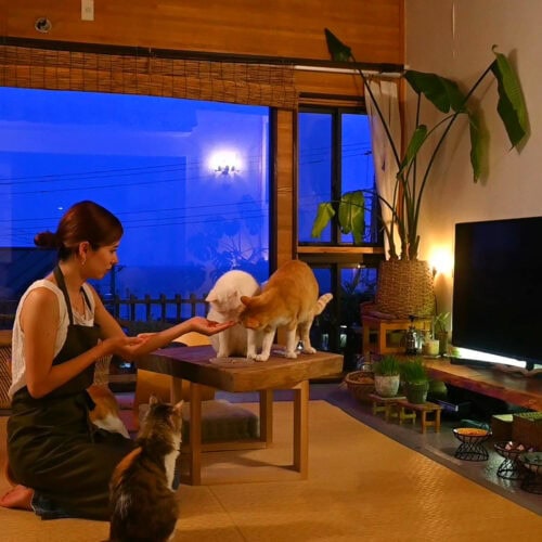 YouTubeやInstagramでも、窓から見える美しい景色を背景にナナさんが暮らしを楽しんでいる様子がとても素敵で見入ってしまう。