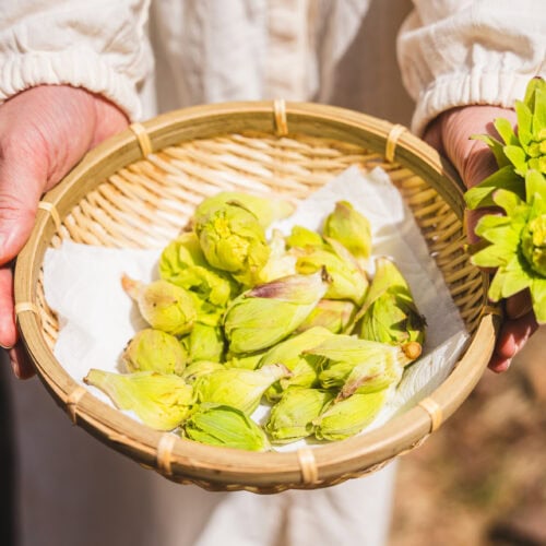 家の庭では山菜が獲れます。タラの芽などがたくさん生えてきて、天ぷらにすると美味しいです。