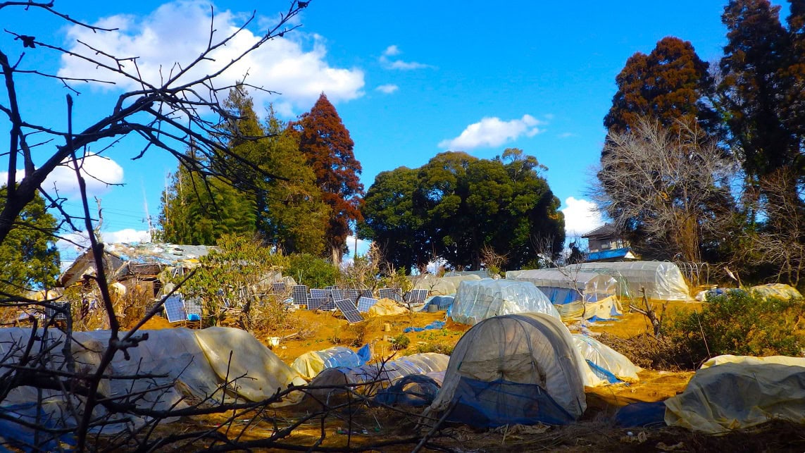 はるか昔、初めて東京に来た新潟の人が、真っ青な冬の空を見上げ、同じ日本とは思えないと言ったという。