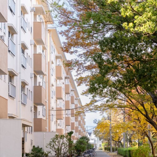 近年、住まいに対する価値観は多様化し、「自分らしい暮らし」を大切にする人が増えています。そのようななかで注目されているのが、“団地のリノベーション”。