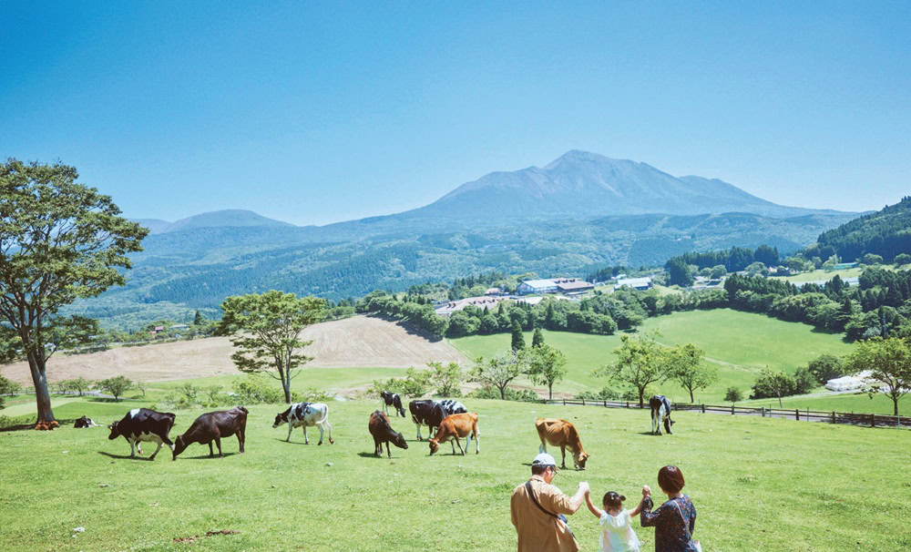 宮崎県都城市／霧島連山の麓に広がる観光牧場「高千穂牧場」