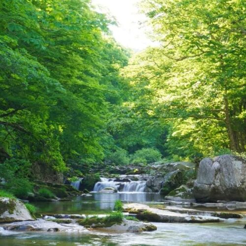 岩手県遠野市の猿ヶ石川。上流には花崗岩が浸食された絶景スポット「重湍溪」があります