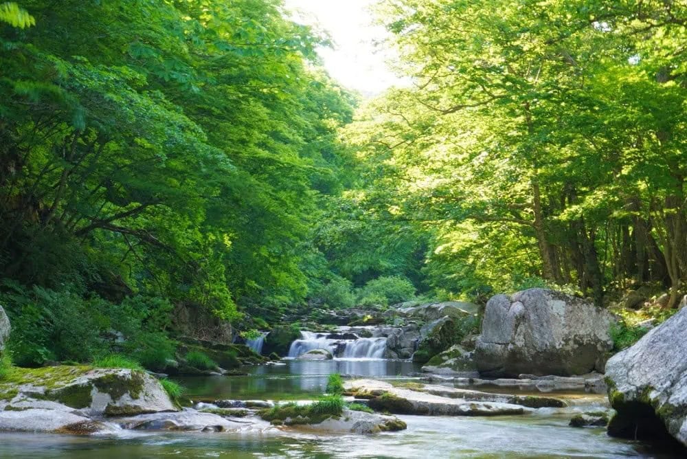 岩手県遠野市の猿ヶ石川。上流には花崗岩が浸食された絶景スポット「重湍溪」があります
