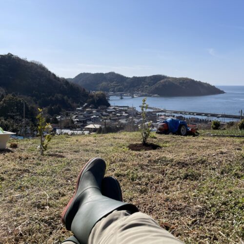 榮さんのご自宅裏の畑からの風景