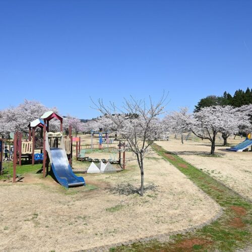 秋田県羽後町のアルカディア公園は広い芝生に遊具がり、親子連れにおおすすめ。