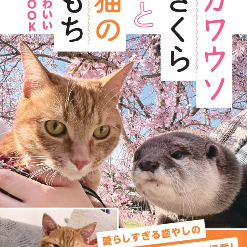 田舎暮らしの本2025年4月5月合併号の別冊付録はYouTubeチャンネル「ma ko」の「カワウソさくらと猫のもち」かわいいBOOK