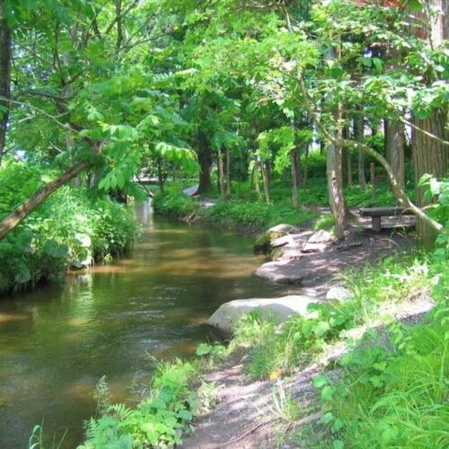 岩手県遠野市の「カッパ淵」。『遠野物語』の舞台となった場所です