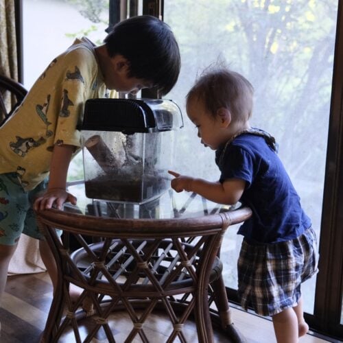 「春は筍掘り、夏は川遊びやカブトムシ探し、秋には収穫体験、冬は庭で焚き火して焼き芋をしたり。そんな風に子どもたちと過ごしていると、親の私の中にも野性的な“わくわく”が戻ってくるんですよ」