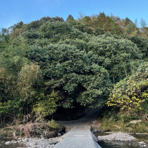 鹿児島県霧島市の豊かな自然
