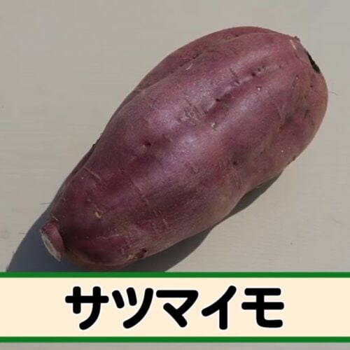 第5位 サツマイモ