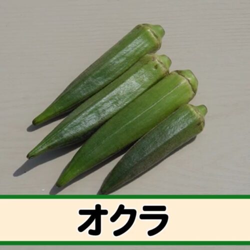 第4位 オクラ