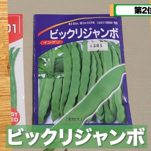 「ビックリジャンボ」
