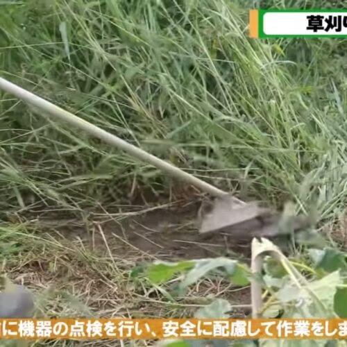 草刈り機が便利