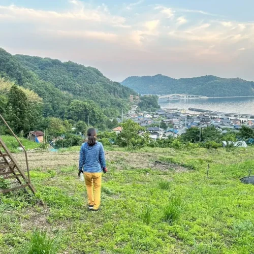 山口県周防大島町の榮さん御夫婦の自宅裏の畑
