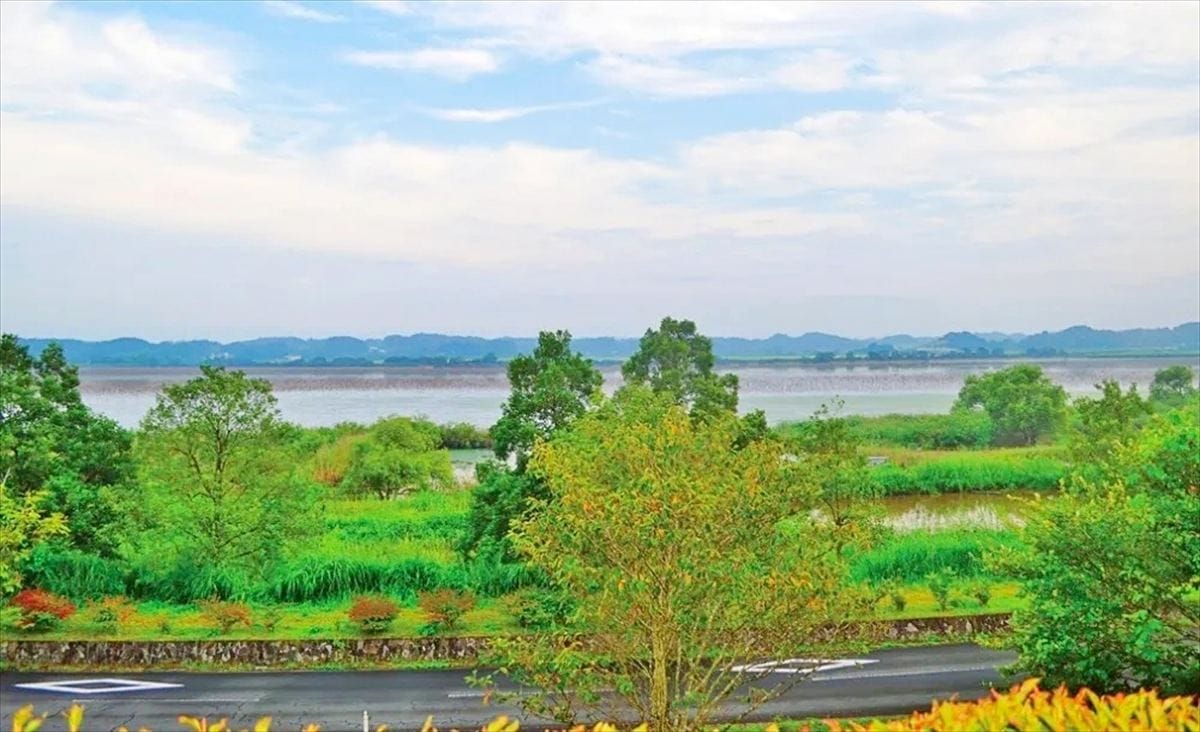 宮城県栗原市の「伊豆沼」。水鳥が生息し、湿地を保全する「ラムサール条約」にも登録されている