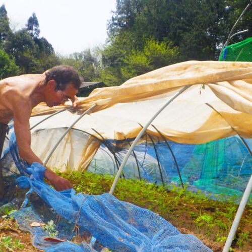 ぜんぜん暇じゃない、しかし人生ぜんぜん退屈でもない。だって、明るい太陽と青い空、食べる物だっていっぱいあるんだもの・・・それが、近々、アナタも手に入れるであろう「田舎暮らし」なのである。